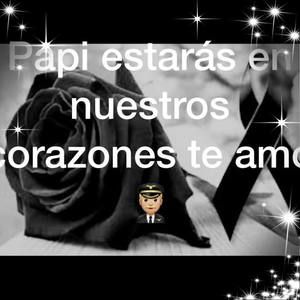 Meet your Posher, Iris